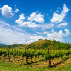 Fototapeta na wymiar Rural landscape on the hills near Riolo Terme and Brisighella