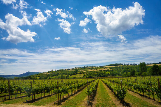 Rural landscape on the hills near  Riolo Terme and Brisighella