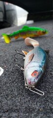 fishing bait on white background