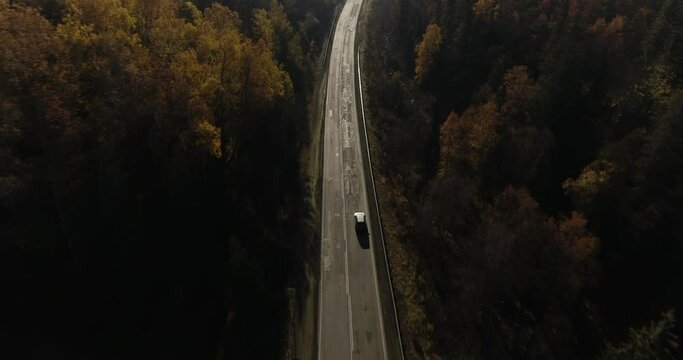 One gray silver crossover SUV car driving alone road trip, travel on freeway through dense colorful forest corridor at autumn sunny sunset - Aerial drone wide view