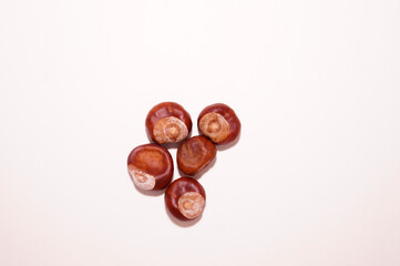 Chestnuts isolated on white background