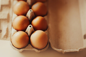 Fresh brown chicken eggs lie in a cardboard box bought at a grocery store, illuminated by sunlight. Healthy breakfast. Protein food.