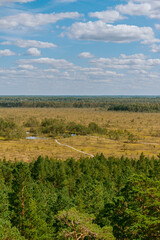 Fototapeta na wymiar Aerial view over the forest and swamp. Blue sky with white clouds, beautiful landscape