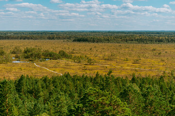 Fototapeta premium Aerial view over the forest and swamp. Blue sky with white clouds, beautiful landscape
