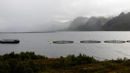 Aquakultur in Norwegischen Fjorden