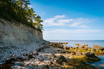 Fototapeta na wymiar Panga cliff in Saaremaa, Estonia during sunny day. The highest bedrock outcrop in western Estonia on coast of the Baltic sea