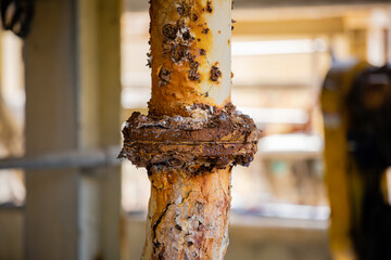 Rust damage paint and corrosion flange and bolt nut on pipeline