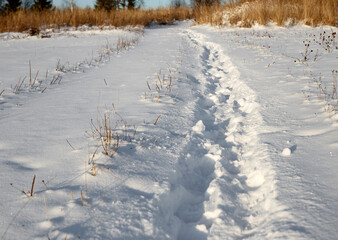 Footprints on path through first white snow in late autumn