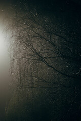 raindrops in the night