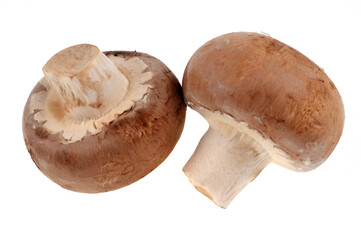 Champignons de Paris bruns crus isolés sur fond blanc