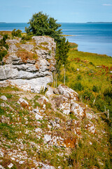 Uugu bluff or cliff on the Muhu Island in Estonia, located by the Baltic sea and near the island of Saaremaa. Beautiful sunny day with blue sky, white clouds, forest and stone cliffs by the seaside.