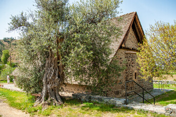 Fototapeta na wymiar Cyprus, Troodos Mountains, mountain village, cultural tradition, rural architecture, stone house, wooden balcony, stone paved street, potted flowers, hedge, floristry, hiking, travel, tourism 