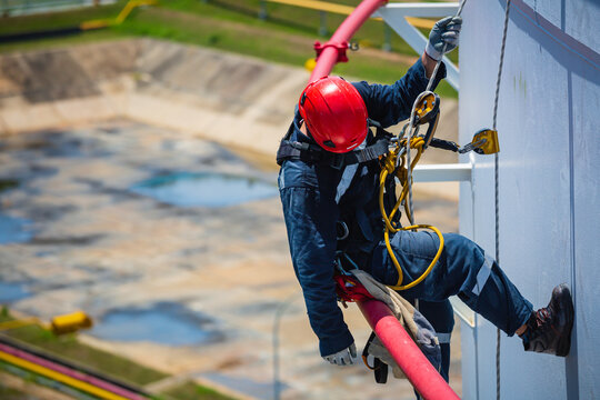 Maximizing Safety: Evaluating and Comparing Vehicle Safety Features and Ratings