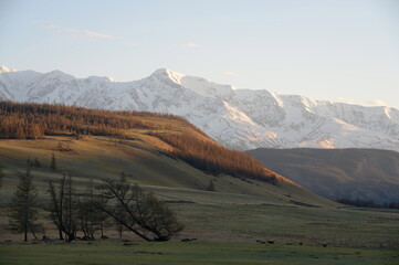 View of the North Chui mountain snow-covered ridge from the Kurai steppe. Gorny Altai, Kosh-Agachsky district, Russia