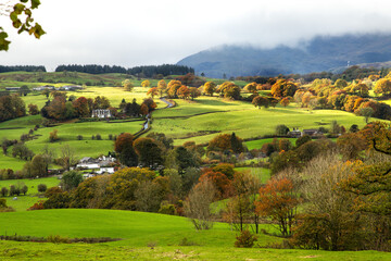 Autumn landscape