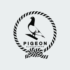 Pigeon bird logo design vector