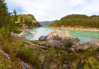 Altai Mountains, Katun River, View Of The Turquoise River Katun And Altai Mountains, Autumn Season