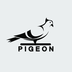 Pigeon bird logo design vector