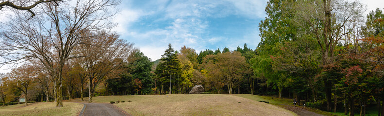 Fototapeta na wymiar 霜月　樹木公園の風景