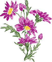 Hand drawing of textured brush of bouquet pink garden daisies