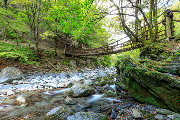 Obraz premium 奥祖谷二重かずら橋 女橋 徳島県三好市 Oku Iya Double Kazura Bridge Onnabashi Tokushima-ken Miyoshi city