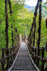 Obraz premium 奥祖谷二重かずら橋 男橋 徳島県三好市 Oku Iya Double Kazura Bridge Otokobashi Tokushima-ken Miyoshi city