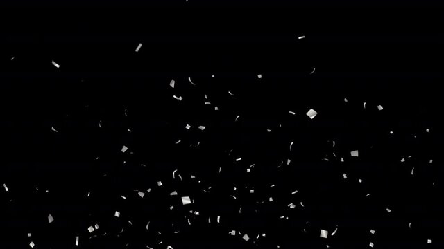 Silver Confetti Particles with Alpha Channel Prores 4444.