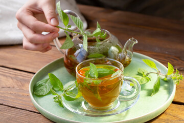 The girl puts mint in a cup of green tea. Healthy food, antioxidants.