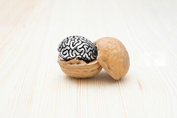 Walnut shell with a miniature human brain
