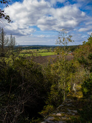 Up on a hill in the forrest