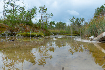 Sulfur Pond, which are water llamas formed on the periphery of a moss bog, they are supplemented...