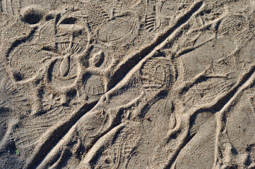 tracks in sand
