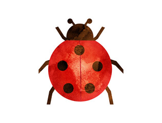 水彩風に加工したテントウムシのイラスト © Rica Nohara