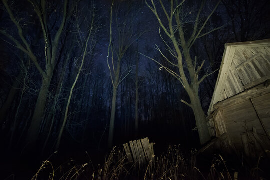 An old wooden house in a deep forest. Night photo of an old house in the forest and the starry sky.