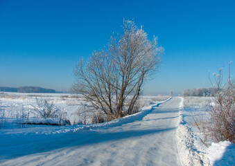 Winter rural road on a sunny frosty day. Czech Republic, Vysocina Highland region, Europe. High quality photo