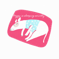  Bull Terrier Peggy is sleeping sweetly