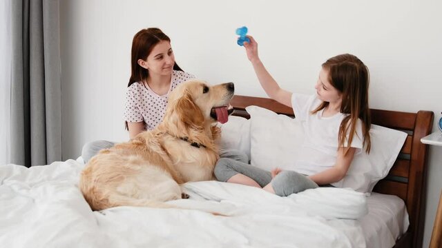 Two beautiful sisters sitting on the bed, petting golden retriever dog and hugging it. Smiling girls playing with pet in the bedroom with daylight using toy bone. Friendship between human and doggy