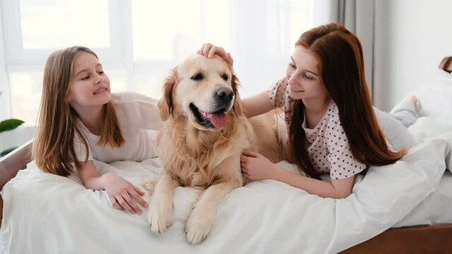 Two beautiful sisters lying in the bed and petting golden retriever dog looking at the camera with tonque out. Smiling girls with pet in the bedroom with daylight. Friendship between human and doggy