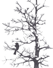 black and white vector image of a bird sitting on a branch of a snow-covered tree