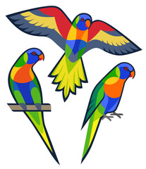 Stylized Birds - Rainbow Lorikeet
