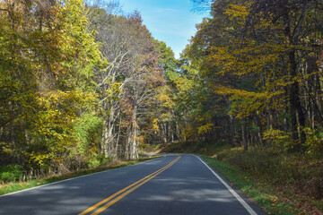 Winding Country Road Traveling Through Beautiful Fall Foliage
