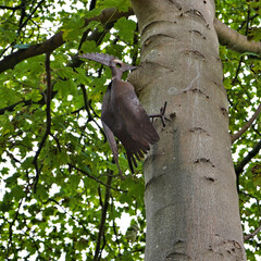 Metal Bird Pecking Tree