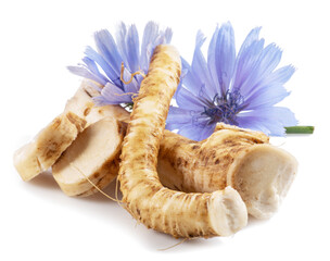 Chicory flowers and roots close up on the white background.