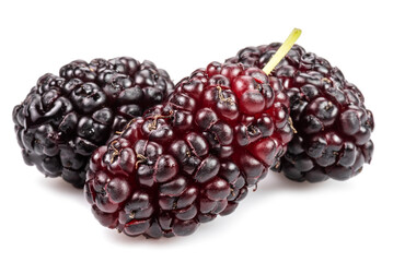 Three ripe black mulberries fruits isolated on white background.