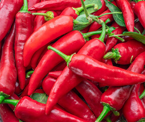 Lot of fresh red chilli peppers. Food background.
