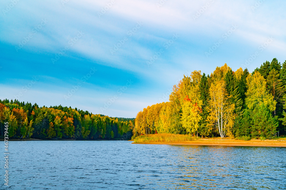 Wall mural panoramic view of the bright colorful trees along the bank of the kama river russia perm krai. autum