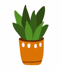 Cactus in a orange decorative ceramic pot. Room plant Sansevieria. Colorful botanical vector isolated illustration on a white background. Doodle style