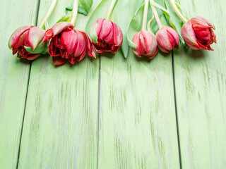 Fototapeta na wymiar Colorful bouquet of tulips on green wooden background.