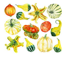 Watercolor set of autumn pumpkins. Festive clipart isolated on white background, autumn vegetables, harvest, botanical fall decor. Best for invitation, cards, menu, decor