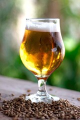 glass of beer